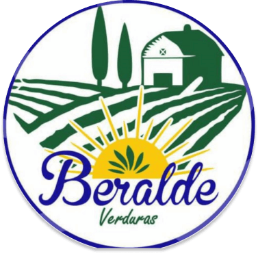 logo beralde