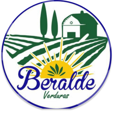 logo beralde